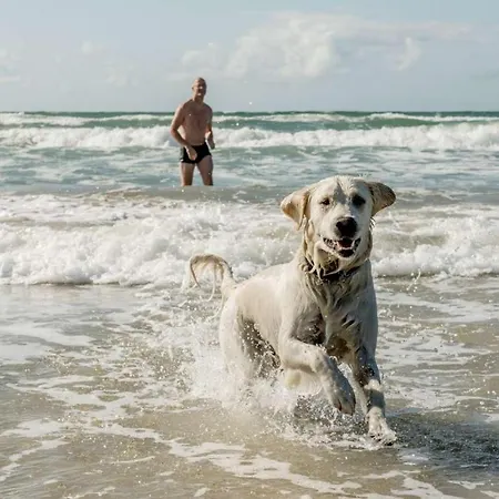 Vederso Klit Camping & Cottages *